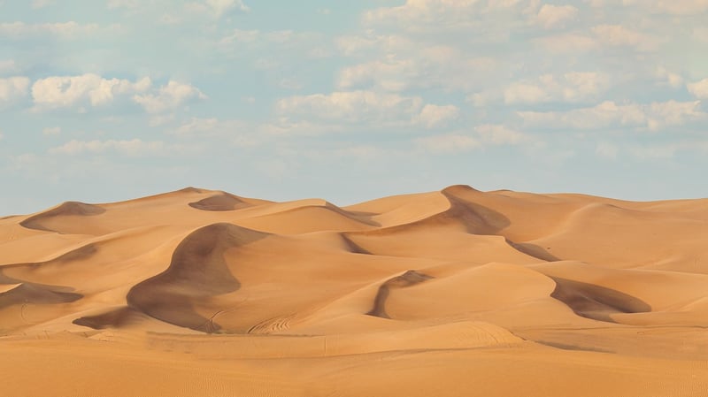 Desert Safaris